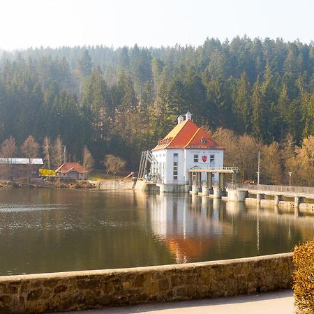 Ferienhaus Nr 15, Typ A, Feriendorf Jaegerpark, Bayerischer Wald Фихтах Экстерьер фото